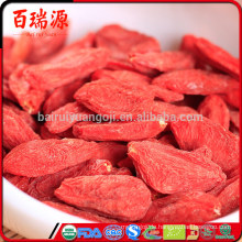 Bio Goji Beeren 16 Unzen Goji Beeren 16 Unzen Navitas Goji Beeren 16 Unzen